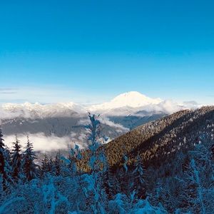 Meet your Posher, Shaylee